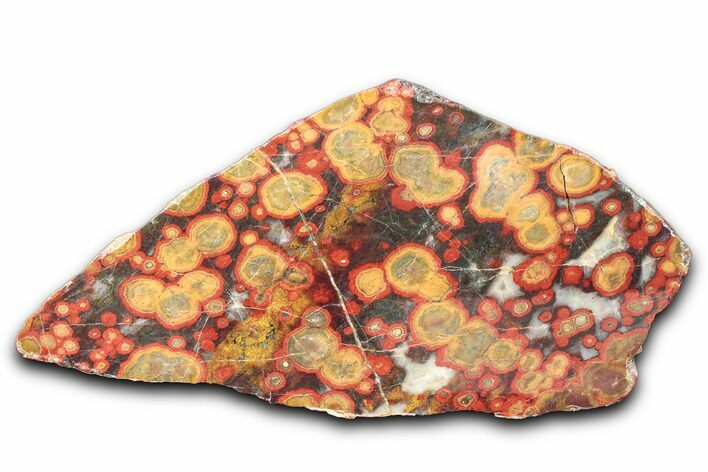 Polished Morgan Hill Poppy Jasper Section - California #336257